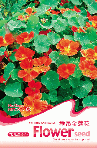 Semi-Trailing garden nasturtium