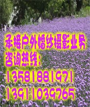 �нӻ�ɴ��Ӱ