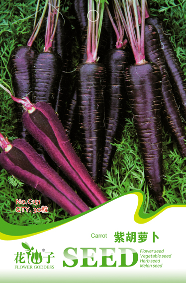 紫胡萝卜